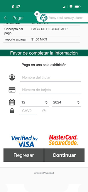 Imagen de opciones de pago en app