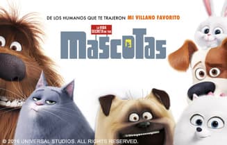 Mida de mascotas en Claro video con Telnor