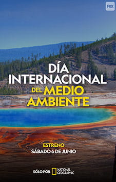 Día Internacional del Medio Ambiente