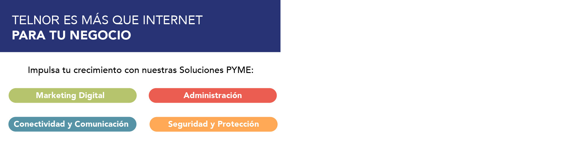 Telnor es más que internet para tu negocio
